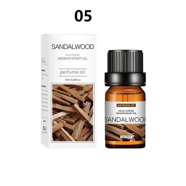 395ad116 4a94 4bf6 a039 4d262a9c1798.jpg 395ad116 4a94 4bf6 a039 4d262a9c1798.jpg