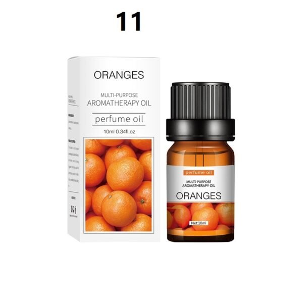 cbf68bf6 28aa 40d9 a35f a1262eba0966.jpg cbf68bf6 28aa 40d9 a35f a1262eba0966.jpg